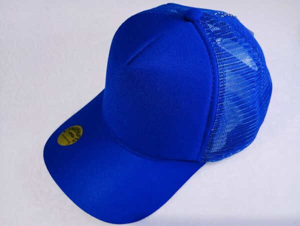 Boné Trucker Telinha Azul